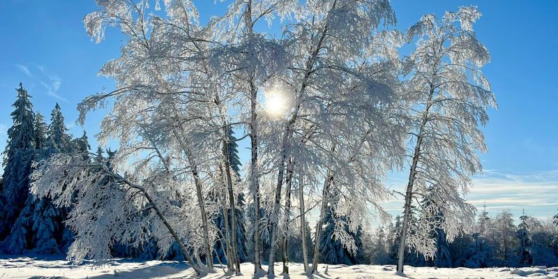 Der verschneite Schwarzwald bei Baden-Baden bietet tolle Wintersport- und Wandermöglichkeiten. Die Landschaft sieht mit Schnee und Rauhreif zauberhaft aus.