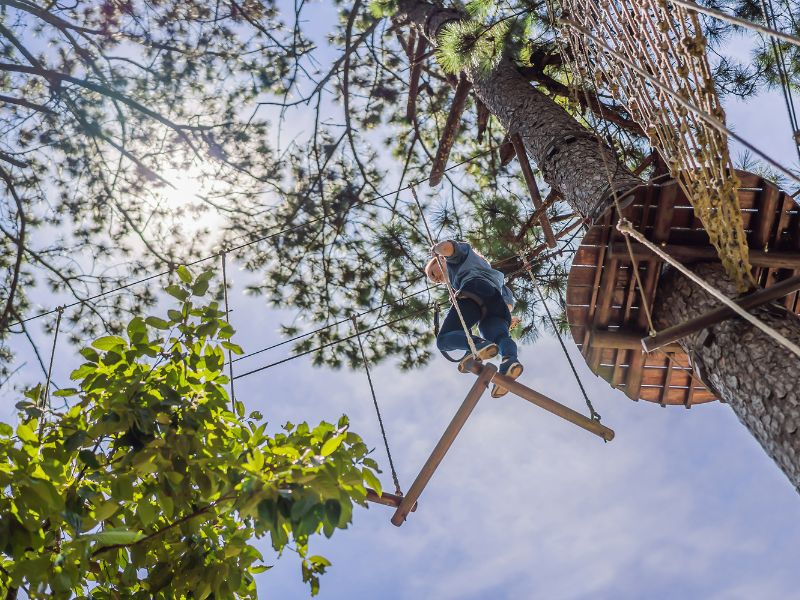 Im hochseilgarten lernt man als Team zu funktionieren. Das Naturerlebnis im Schwarzwald bringt Menschen über ihre Grenzen hinaus
