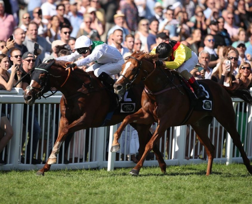 Kopf an Kopf rennen der Jockeys auf der Pferde Rennbahn in Iffezheim bei Baden-Baden