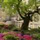 Mitten in Baden-Baden bietet das Hotel am Sophienpark einen ruhigen gepflegten Hotelpark. Besonders schön ist die Azaleenblüte im Mai.