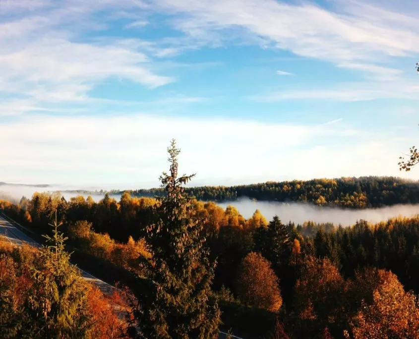 Auf den höhenlagen des Schwarzwaldes färben sich die Wälder im Oktober bunt und die schönste Wandersaison beginnt