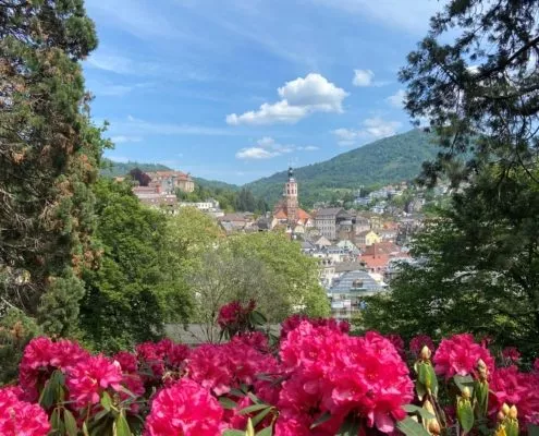 Baden-Baden liegt eingerahmt vom Schwarzwald malerisch in einer der schönsten urlaubsregionen. Das Hotel am Sophienpark ist mitten im Zentrum und idealer Ausgangspunkt für Ausflüge und Wanderungen