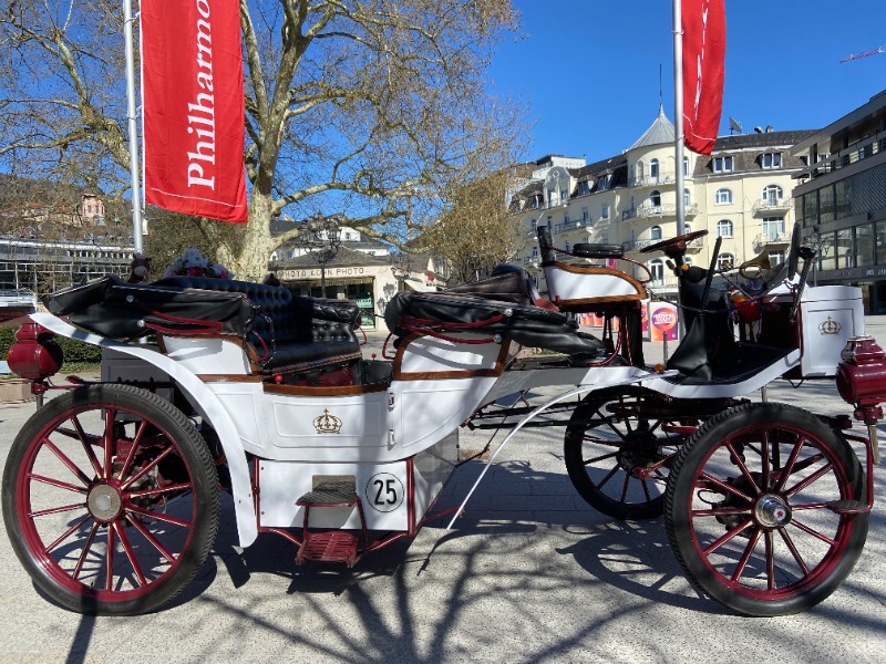 Sightseeing ist von der Hotel am Sophienpark Dependance mitten in Baden-Baden jederzeit möglich.Die E-Kutsche biete dazu Rundfahrten an.
