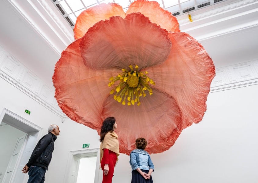 Petrit-Halilaj-und-Alvaro-Urbano-Poppy-Uli-Deck. Bloom up! Die Sprache der Blumen | Große Sonderausstellung in der Staatlichen Kunsthalle Baden-Baden