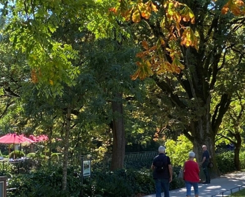 Baden-Baden ist mit der bunten Lichtentaler Allee im Herbst ein wunderschönes Ausflugsziel. THE FLORIS liegt nur 5 Minuten entfernt.
